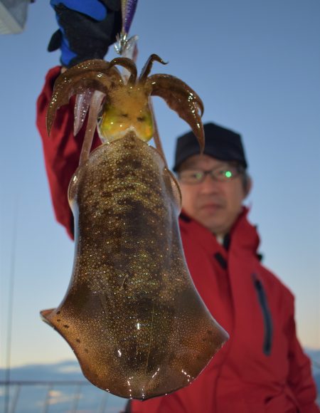 Fisherman Dreams DI 釣…