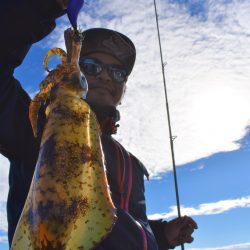 Fisherman Dreams DI 釣果