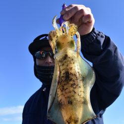 Fisherman Dreams DI 釣果