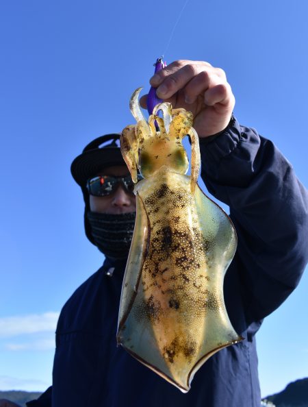 Fisherman Dreams DI 釣果