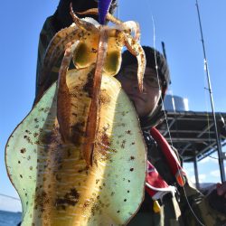 Fisherman Dreams DI 釣果