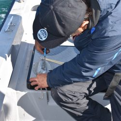 Fisherman Dreams DI 釣果