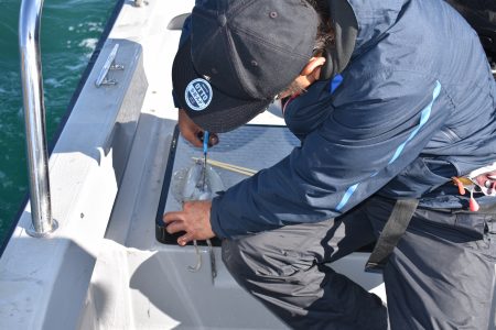 Fisherman Dreams DI 釣果