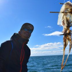 Fisherman Dreams DI 釣果