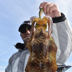 Fisherman Dreams DI 釣果