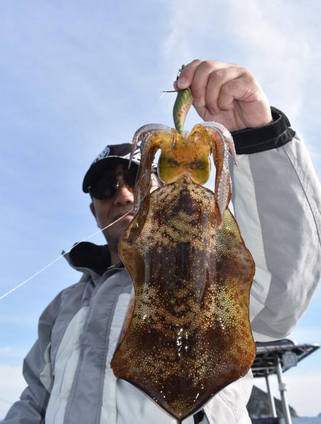 Fisherman Dreams DI 釣果