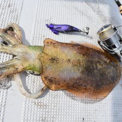 Fisherman Dreams DI 釣果