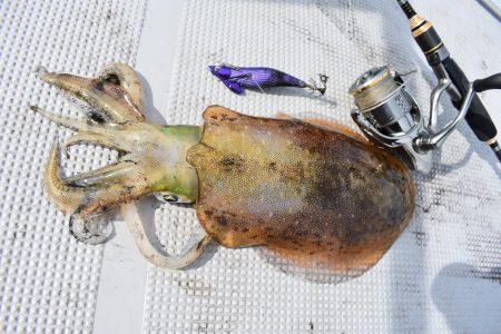 Fisherman Dreams DI 釣果