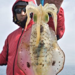 Fisherman Dreams DI 釣果