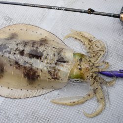 Fisherman Dreams DI 釣果