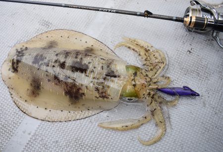 Fisherman Dreams DI 釣果