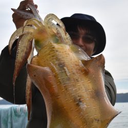 Fisherman Dreams DI 釣果