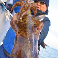 Fisherman Dreams DI 釣果