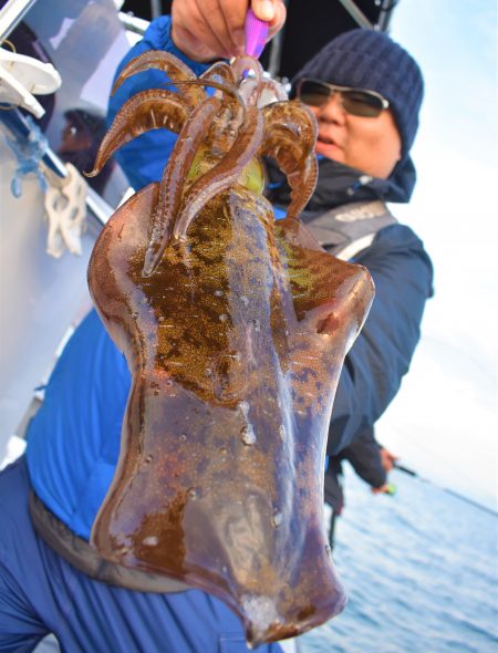 Fisherman Dreams DI 釣果