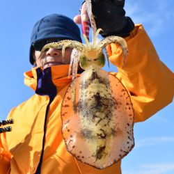 Fisherman Dreams DI 釣果