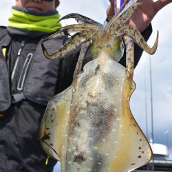 Fisherman Dreams DI 釣果