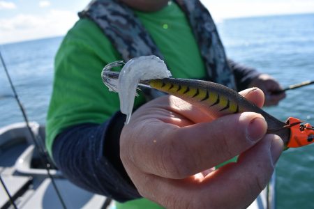 Fisherman Dreams DI 釣…