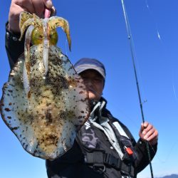 Fisherman Dreams DI 釣果