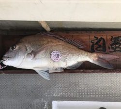 白墨丸 釣果