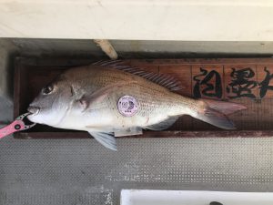 白墨丸 釣果