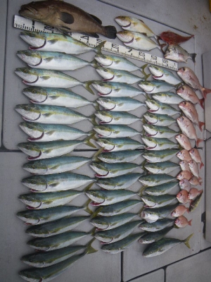 磯部釣船 直栄丸 釣果