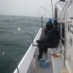 磯部釣船 直栄丸 釣果