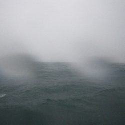 磯部釣船 直栄丸 釣果