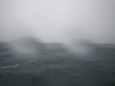 磯部釣船 直栄丸 釣果