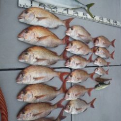 磯部釣船 直栄丸 釣果