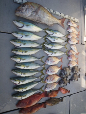 磯部釣船 直栄丸 釣果