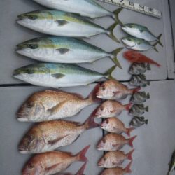 磯部釣船 直栄丸 釣果