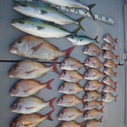 磯部釣船 直栄丸 釣果