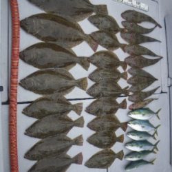 磯部釣船 直栄丸 釣果