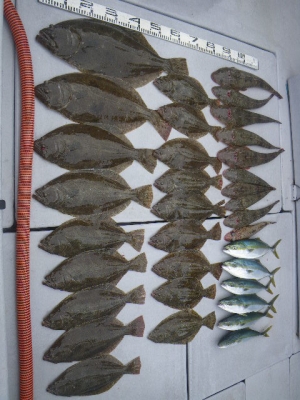 磯部釣船 直栄丸 釣果