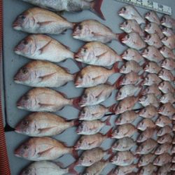 磯部釣船 直栄丸 釣果