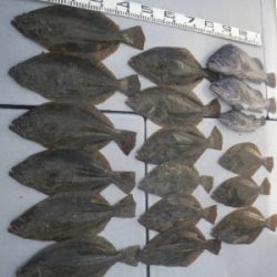 磯部釣船 直栄丸 釣果