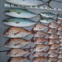 磯部釣船 直栄丸 釣果