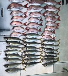 さぶろう丸 釣果