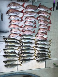 さぶろう丸 釣果