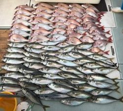 さぶろう丸 釣果