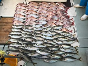 さぶろう丸 釣果