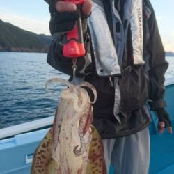 愛海丸 釣果