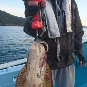愛海丸 釣果