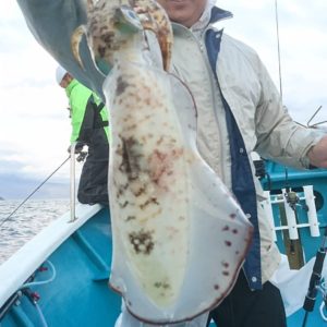 愛海丸 釣果