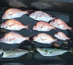 さぶろう丸 釣果