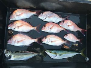 さぶろう丸 釣果