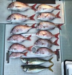 さぶろう丸 釣果