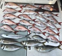 さぶろう丸 釣果