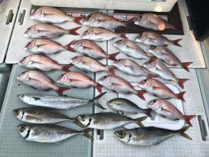 さぶろう丸 釣果