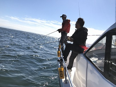 フィシングボートAir(エアー) 釣果